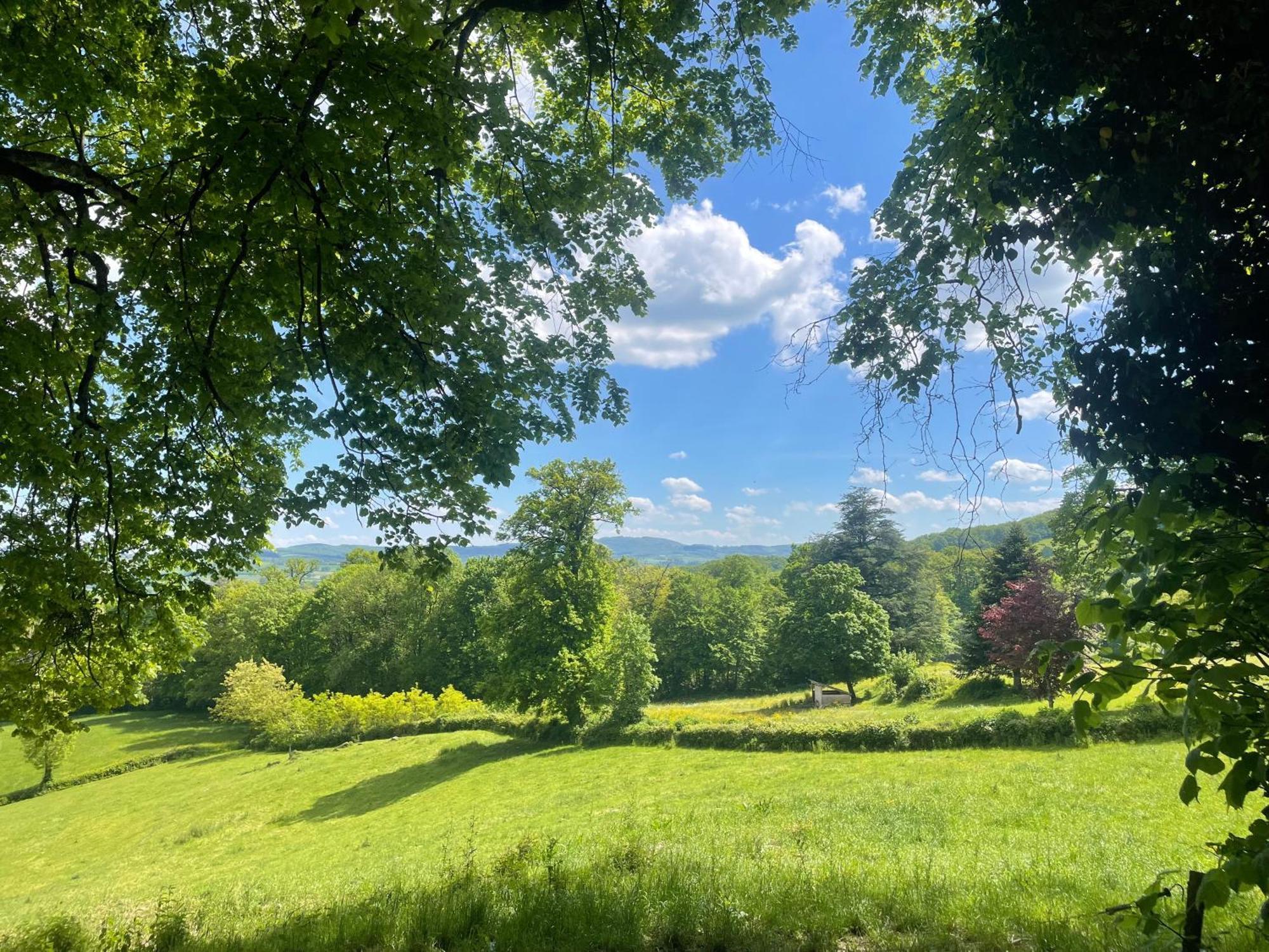 Chateau De Vaux Morvan Etang-sur-Arroux Bagian luar foto