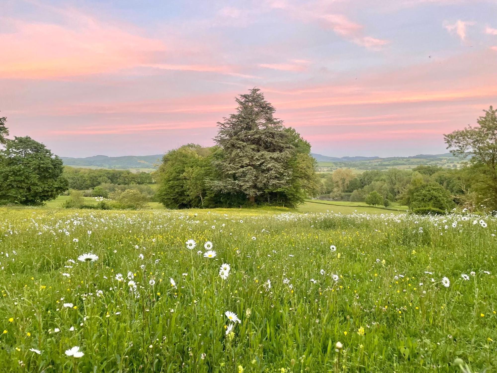 Chateau De Vaux Morvan Etang-sur-Arroux Bagian luar foto
