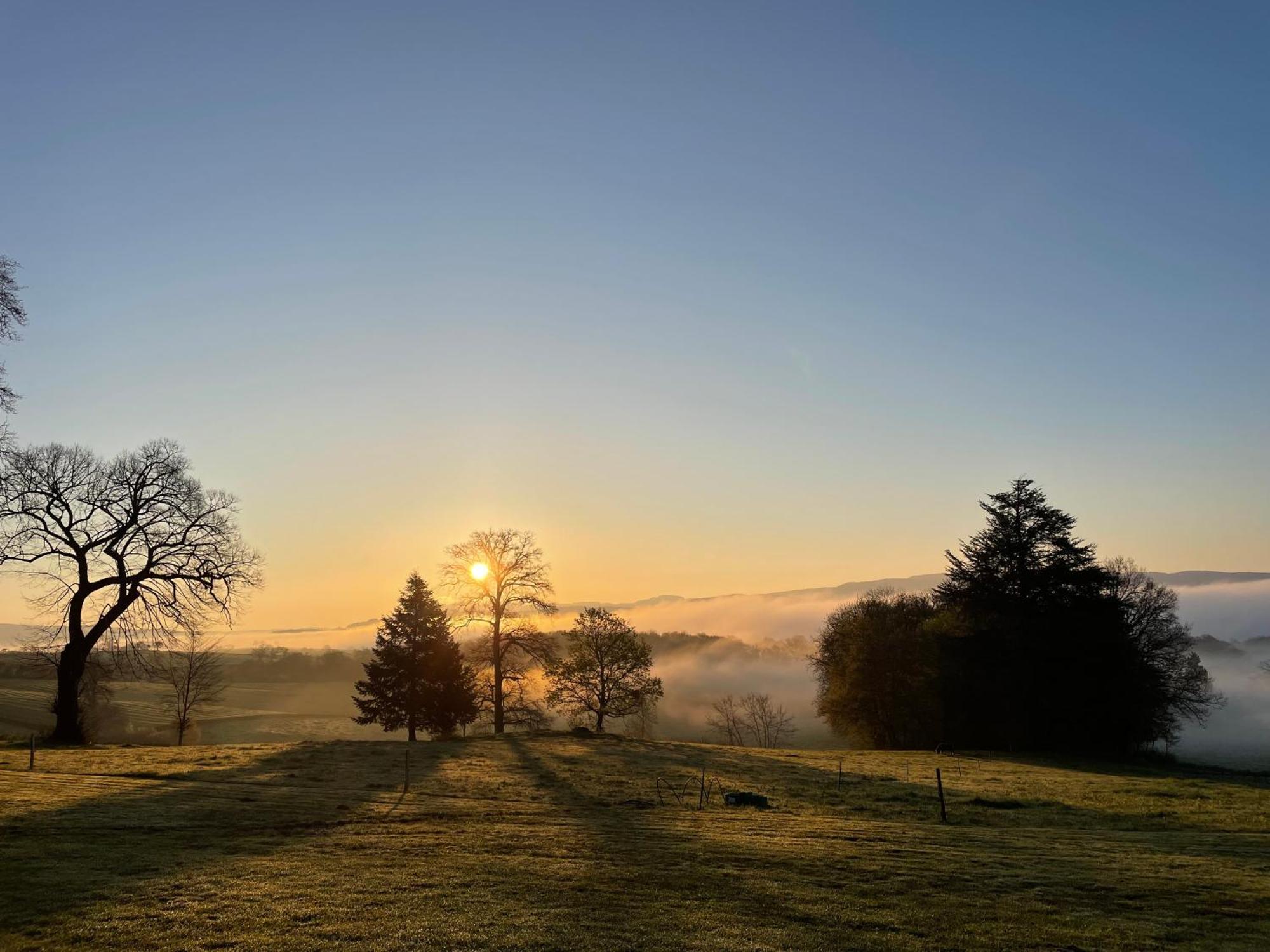 Chateau De Vaux Morvan Etang-sur-Arroux Bagian luar foto