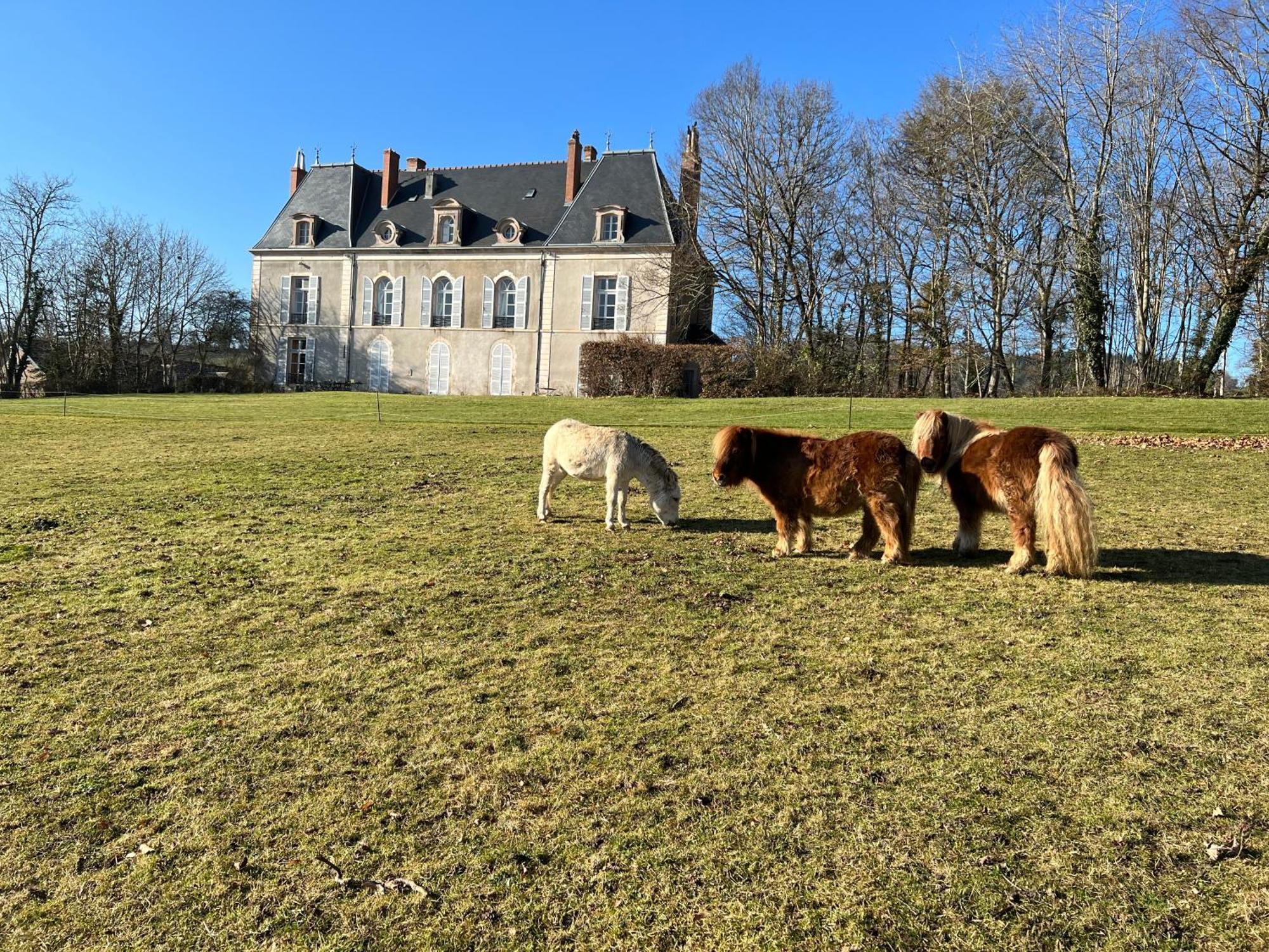 Chateau De Vaux Morvan Etang-sur-Arroux Bagian luar foto